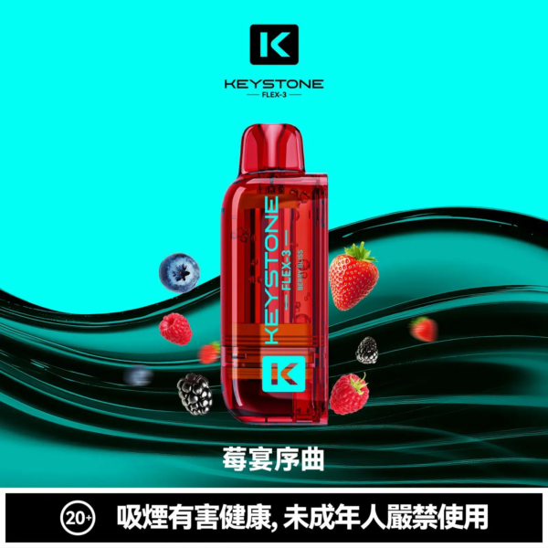 KEYSTONE FLEX 3 鑰石 25000口【買一盒送主機】